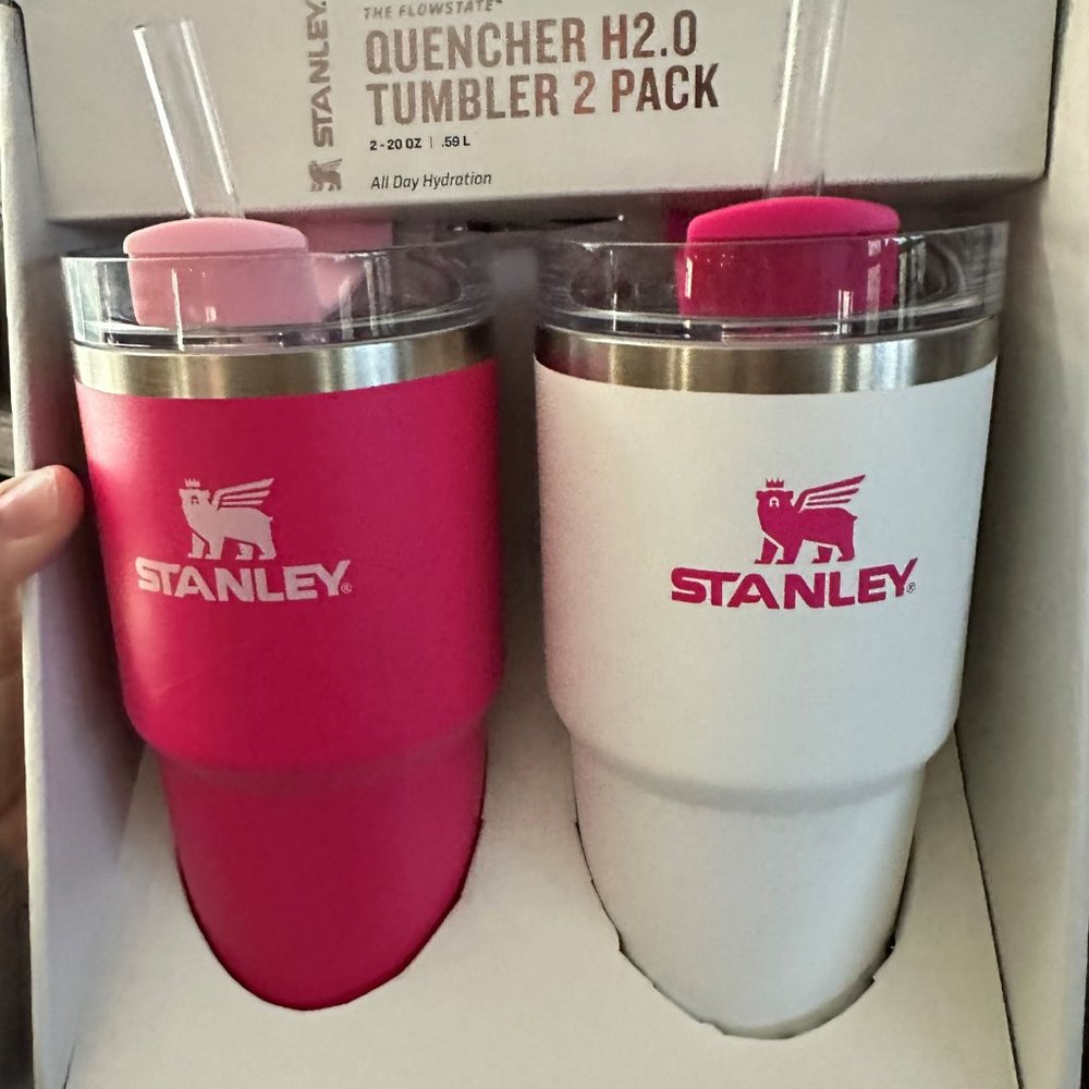 Stanley 2pk 20oz Stainless Steel H2.0 Flowstate Quencher Tumblers - Pink Vibes